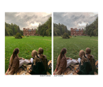 Load image into Gallery viewer, Mobile Presets | Cozy Fall
