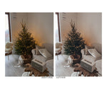 Load image into Gallery viewer, Mobile Presets | Winter Wonder
